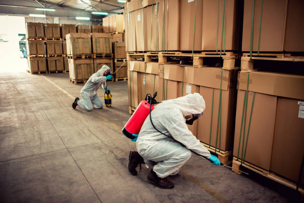 Best Pest Control Treatment  in Americus, GA