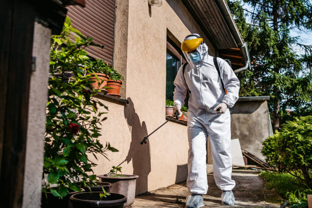 Best Affordable Pest Control Services  in Americus, GA