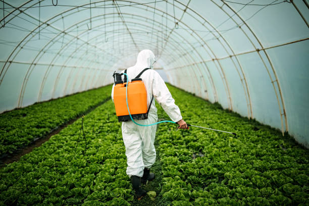 Best Pest Inspection Near Me  in Americus, GA