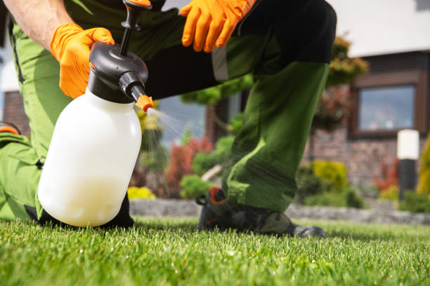 Best Affordable Pest Control Services  in Americus, GA