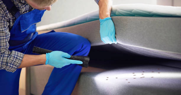 Best Commercial Pest Control Services  in Americus, GA