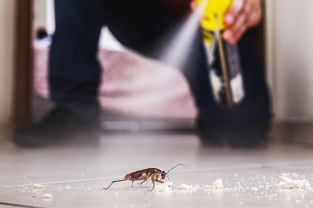 Best Pest Control Near Me  in Americus, GA