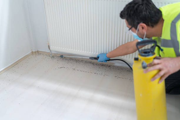 Best Exterminator Services  in Americus, GA