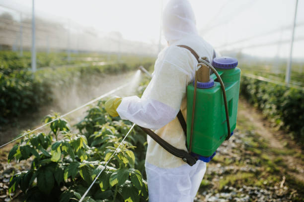 Insect Control in Americus, GA